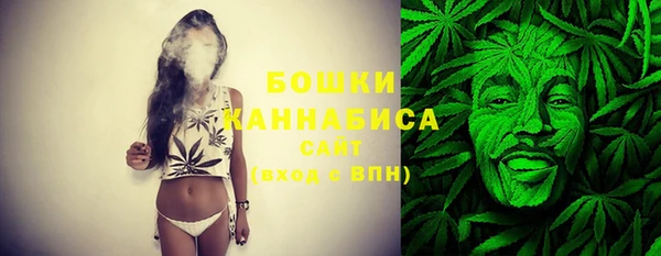 PSILOCYBIN Осинники