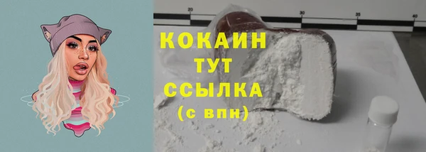 PSILOCYBIN Осинники
