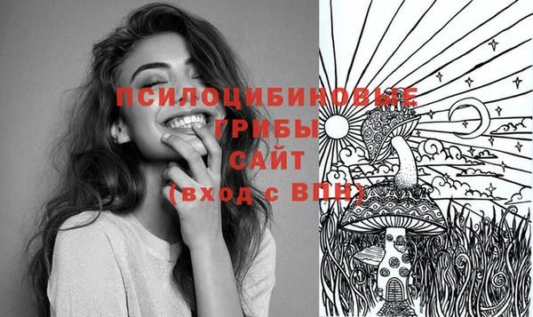 PSILOCYBIN Осинники