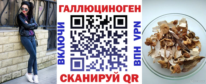 Псилоцибиновые грибы Psilocybine cubensis  Корсаков 