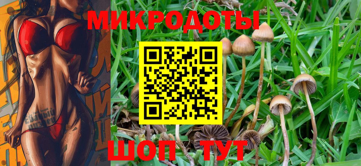 Корсаков  где можно купить   Псилоцибиновые грибы GOLDEN TEACHER  Вход с VPN  Псилоцибиновые грибы GOLDEN TEACHER 