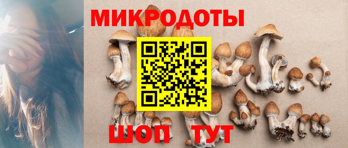 Галлюциногенные грибы Cubensis  Галлюциногенные грибы мухоморы  Корсаков 