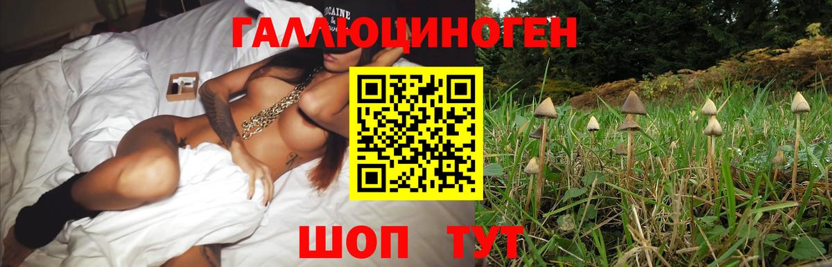 Псилоцибиновые грибы мухоморы Корсаков